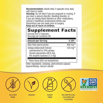 Nature's Way Premium Extract Ginkgo Memory and Concentration* 120 Capsules