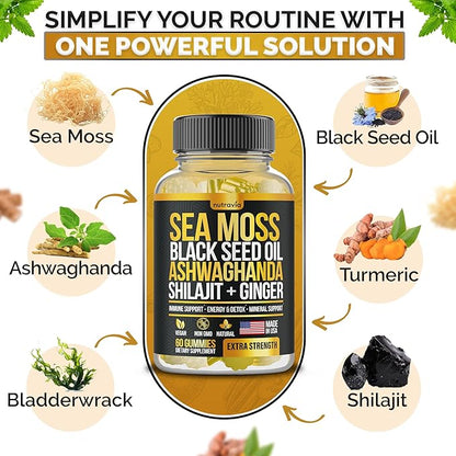 Sea Moss, Black Seed Oil, Ashwagandha, Ginger, Shilajit Gummies with Elderberry, Chlorophyll, Turmeric Bladderwrack Sea Moss Gummies Advanced Strength Formula - All in 1 Bundle - USA Made (60 Gummies)