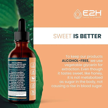 Lions Mane - Lions Mane Supplement - Promotes Mental Clarity, Memory & Focus - Lions Mane Liquid for Immune Support - Mushroom Tincture - 2 Fl Oz by E2H