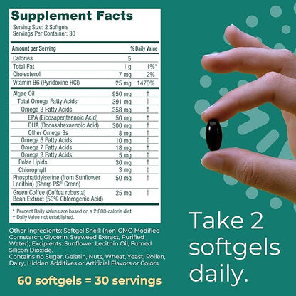 Iwi Life Brain Omega-3, 60 Softgels (30 Servings), Vegan Plant-Based Algae Omega-3 with EPA + DHA, Focus, Memory and Mood Support Dietary Supplement, Krill & Fish Oil Alternative, No Fishy Aftertaste