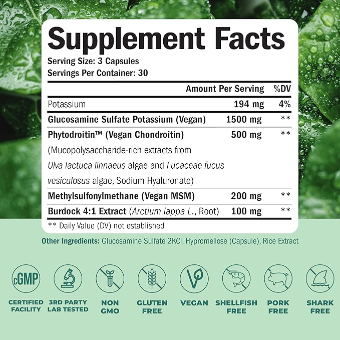 Vegan Glucosamine Chondroitin MSM - 100% Vegan Joint Support Supplement for Women & Men with Burdock and Glucosamine Sulfate 1500 mg. Used for Cartilage and Joint Health and Flexibility - 2 Pack
