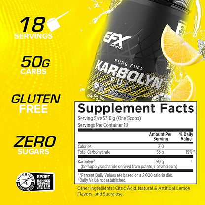 EFX Sports Karbolyn Fuel | Fast-Absorbing Carbohydrate Powder | Carb Load, Sustained Energy, Quick Recovery | Stimulant Free | 18 Servings (Lemon Ice)