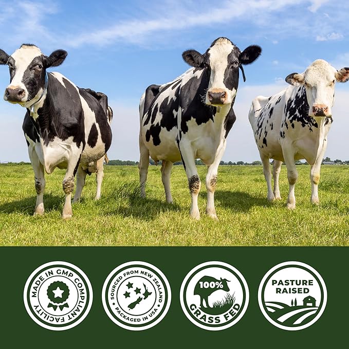 Beef Organ Supplement Grass Fed - 7 Beef Organs Complex from New Zealand - Liver Heart Pancreas Kidney Lung Spleen Bone Marrow - Non-GMO, No Fillers, Hormone & Antibiotic Free - Carnivore Diet - 180ct