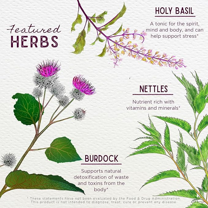 WishGarden Herbs Cycle Changes Herbal Menopause Support - Plant-Based Supplement w/Black Cohosh, Wild Yam & Vitex Supports Hormone Balance for Women in Transition from Perimenopause to Menopause, 4oz