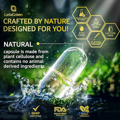 Organic Lions Mane Supplement Capsules - 120 Real Mushrooms Lion's Mane Capsules with Ginkgo Biloba Herb, Bacopa Monnieri - Nootropics Brain Support - Lion Mane Mushroom Supplement
