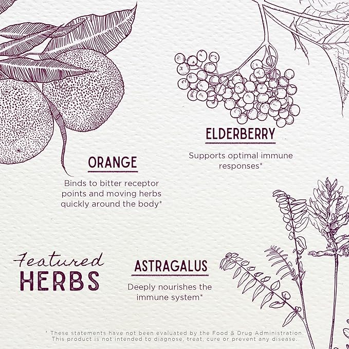 WishGarden Herbs Organic Elderberry Syrup for Kids - Childrens Elderberry Syrup with Black Elderberry, Astragalus, Orange Peel & Honey, Daily Immune Booster for Kids, Children 1+, No Sugar Added, 4oz