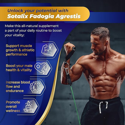 High Strength Fadogia Agrestis Capsules - Concentrated Formula with Maca Root - Support Immune, Energy (150 Count (Pack of 1))