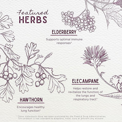 WishGarden Herbs Serious Cough AM Soothing Syrup - Natural Herbal Daytime Non-Drowsy Cough Suppressant for Adults with Elderberry Calms Cough Reflex, Normalizes Mucus Production, Opens Chest, 4oz