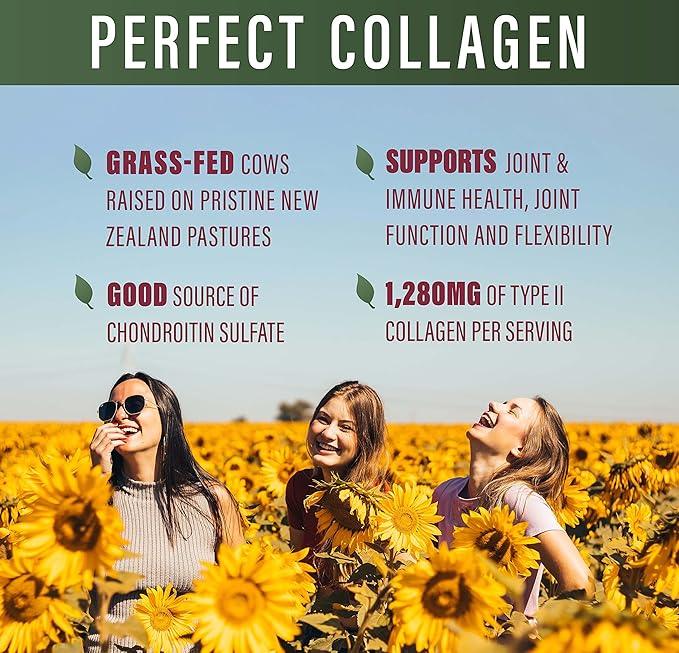 Perfect Supplements – Perfect Type II Collagen – 150 Capsules – All Natural Type II Collagen – Pasture Raised – Joint Health Support