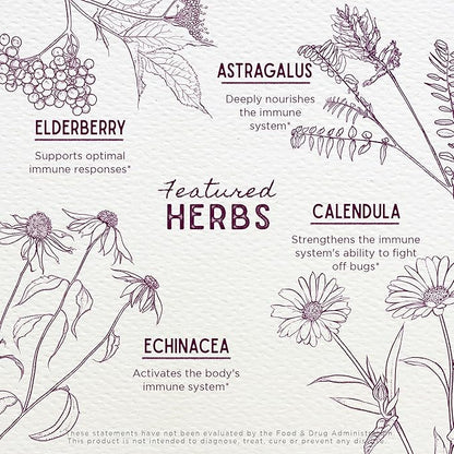 WishGarden Herbs Daily Immune for Kids - Daily Immune Support Formula for Children, Herbal Immune Defense & Immune System Booster with Black Elderberry & Echinacea, Kids Immune Support Supplement, 4oz