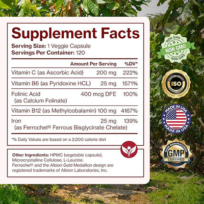 Iron Supplement for Women & Men, Natural Ferrous Chelate, Bisglycinate 25mg + Vitamin C, B6, B12, Folic Acid - IronPills for Iron Deficiency & Energy Support - 120 Count