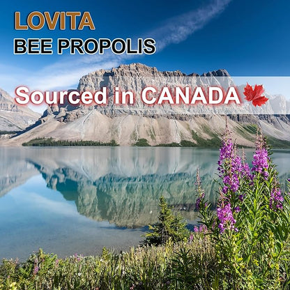 Lovita Propolis Throat Spray, 18% Bioflavonoids, Sore Throat Relief, Alcohol-Free, Gentle and Tasty, 1 Fl Oz (Pack of 3)